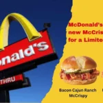 McDonald’s introduce new McCrispy Sandwich for a Limited time